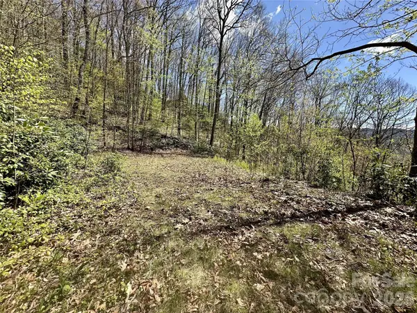 00 Aquina Mountain MTN #H, Maggie Valley, NC 28751