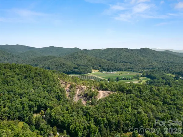 99999 Shining Rock PATH #69, Horse Shoe, NC 28742