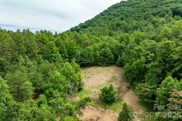 9999 Morgan Branch RD, Weaverville, NC 28787
