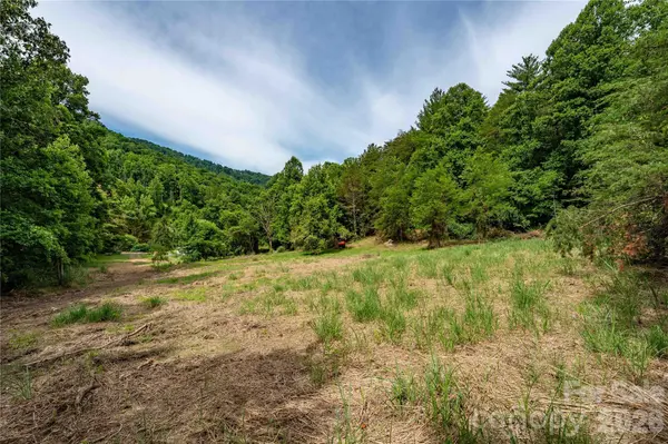 9999 Morgan Branch RD, Weaverville, NC 28787