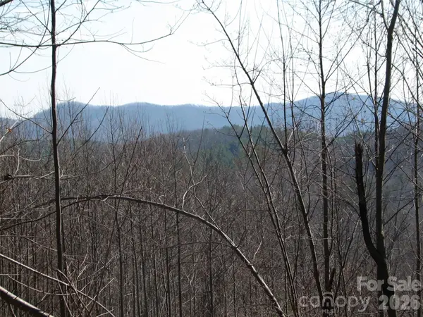 000 Meditation Ridge RDG #21,22, Nebo, NC 28761