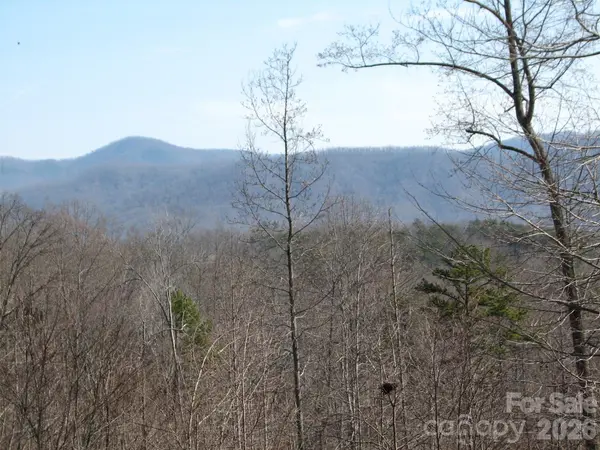 000 Meditation Ridge RDG #21, 22, Nebo, NC 28761