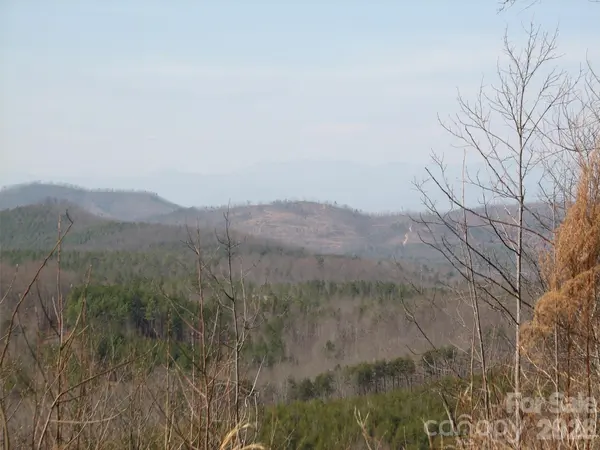000 Meditation Ridge RDG #21,22, Nebo, NC 28761