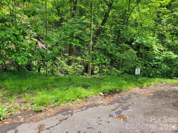 TBD Bear River Lodge TRL #124, Marshall, NC 28753