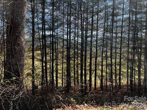 Mini Farm 2 TBD Coventry DR, Brevard, NC 28712