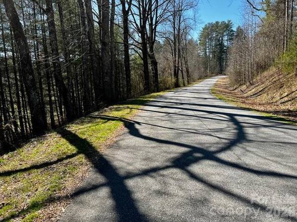 Mini Farm 3 TBD Coventry DR, Brevard, NC 28712