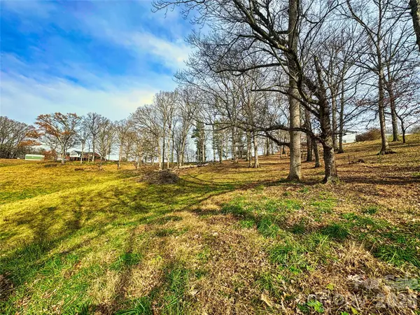 99999 Rabbit Ham RD, Leicester, NC 28748