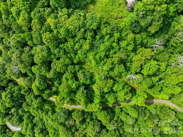 0 Mountain Gait DR #Lots 16 & 17, Mars Hill, NC 28754