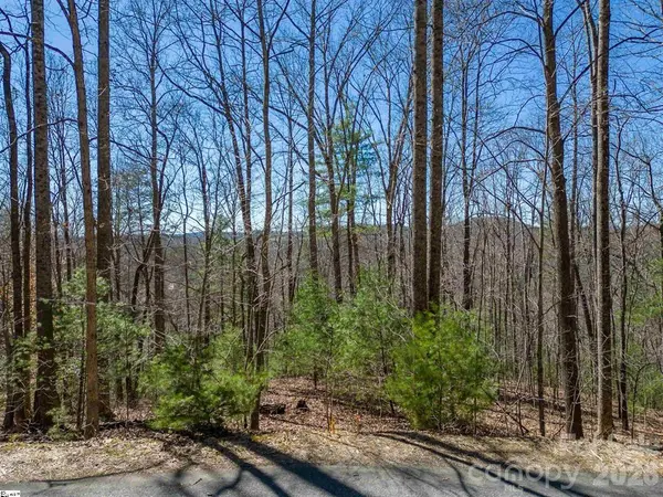 180 Overlook Park DR #51, Hendersonville, NC 28792