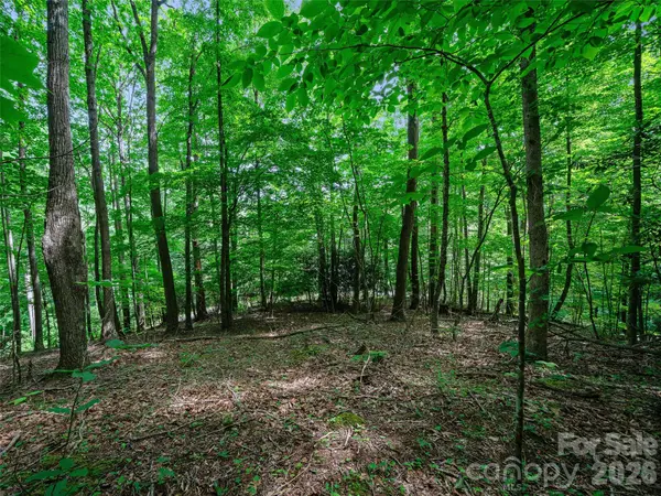 000 Shadow Moss DR #8B, Burnsville, NC 28714