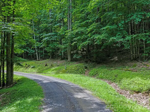 000 Shadow Moss DR #8B, Burnsville, NC 28714