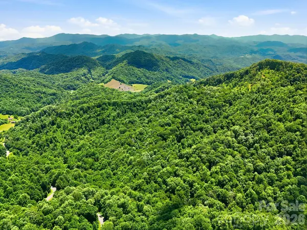 TBD Windy Gap RD #Tract B, Mars Hill, NC 28754
