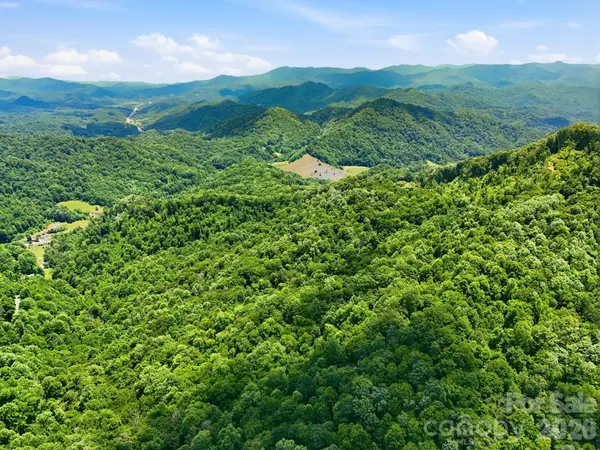 TBD Windy Gap RD #Tract B, Mars Hill, NC 28754