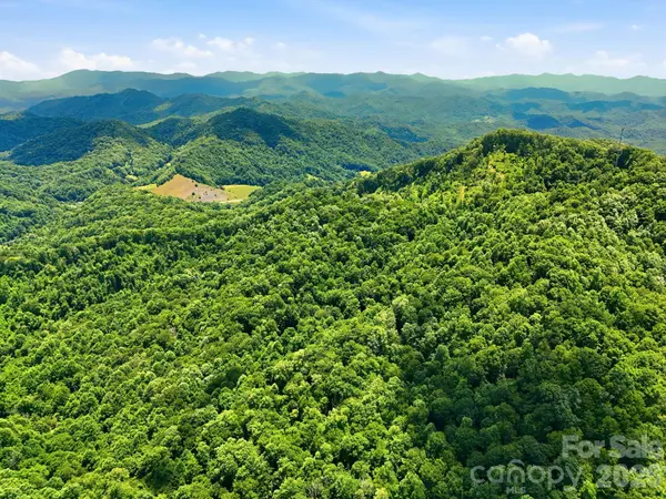 TBD Windy Gap RD #Tract B, Mars Hill, NC 28754