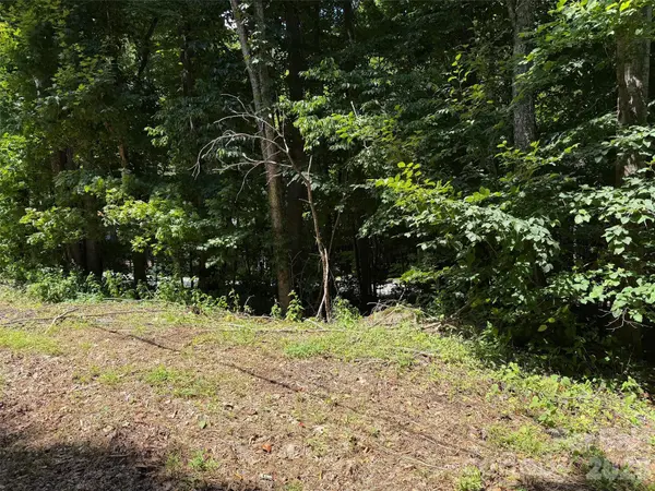 0 Serenity Mountain RD #108, Waynesville, NC 28786