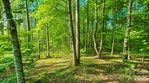 CB17 Emerald CT #CB17, Lenoir, NC 28634