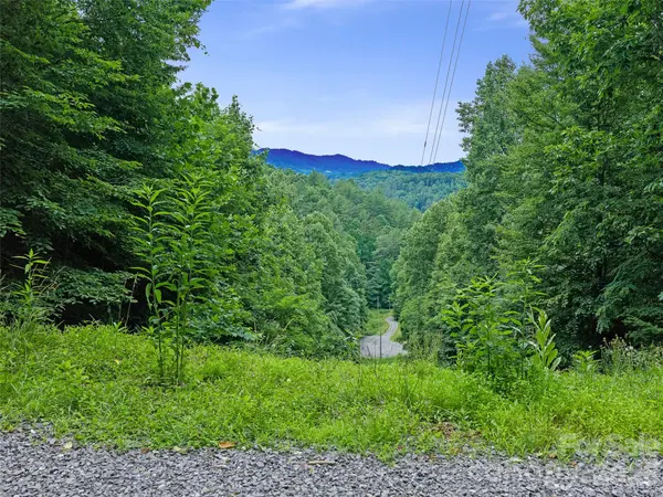 000 Hamlet DR #1, Burnsville, NC 28714