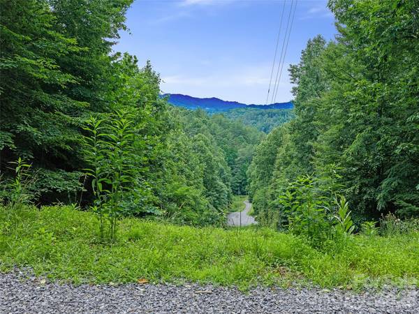000 Hamlet DR #1, Burnsville, NC 28714