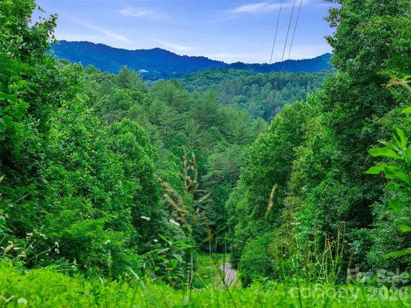 000 Hamlet DR #1, Burnsville, NC 28714