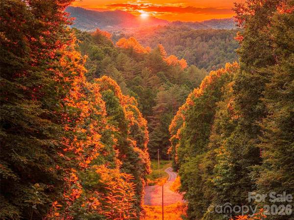 000 Hamlet DR #1, Burnsville, NC 28714