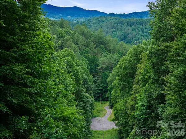 000 Hamlet DR #1, Burnsville, NC 28714