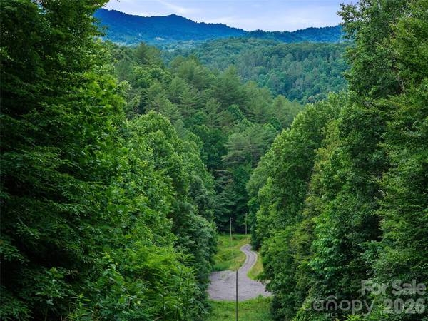 000 Hamlet DR #1, Burnsville, NC 28714