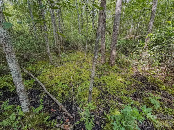 0 Hwy 1 HWY, Patrick, SC 29584