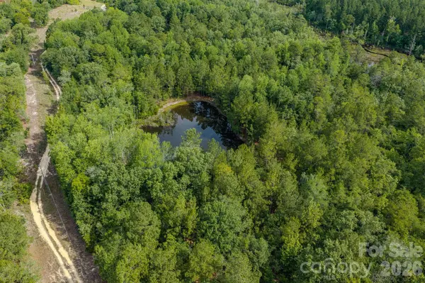 0 Hwy 1 HWY, Patrick, SC 29584