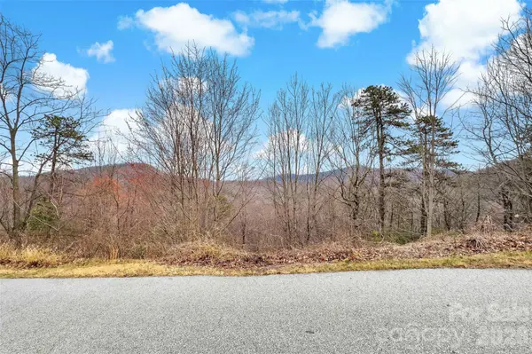 230 Catawba Falls Pkwy, Black Mountain, NC 28711