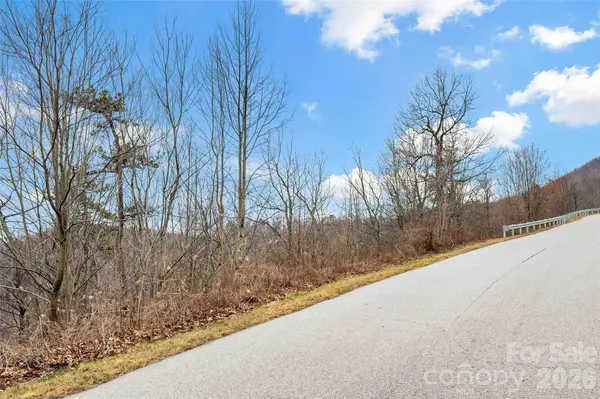 230 Catawba Falls Pkwy, Black Mountain, NC 28711