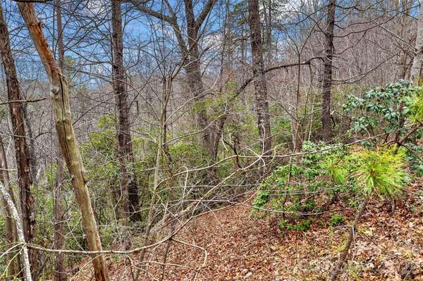 230 Catawba Falls Pkwy, Black Mountain, NC 28711