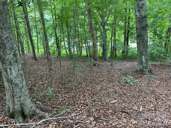 V/L Moore Branch DR, Nebo, NC 28761