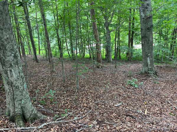 V/L Moore Branch DR, Nebo, NC 28761