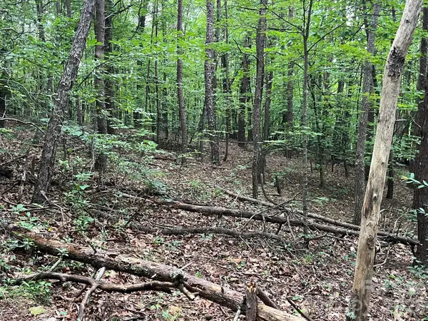 V/L Moore Branch DR, Nebo, NC 28761