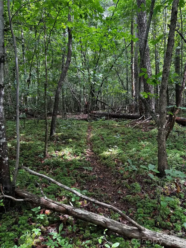 8485 Huffman AVE, Connelly Springs, NC 28612