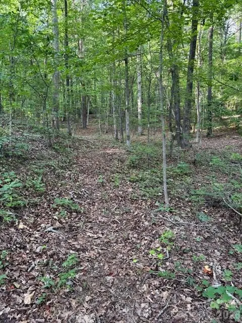 0 Lockhart DR, Landrum, SC 29356