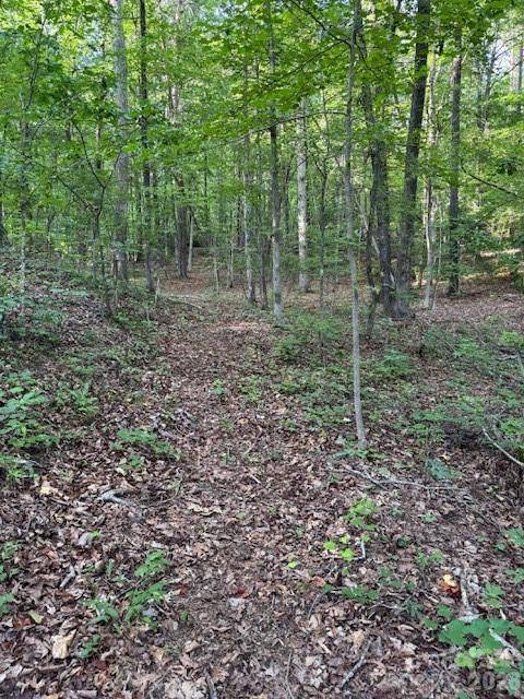 0 Lockhart DR, Landrum, SC 29356