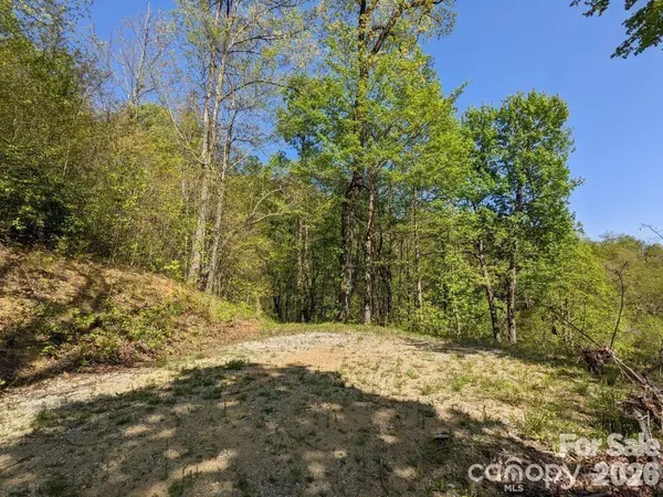 351 Kestrel LN #T-67, Black Mountain, NC 28711