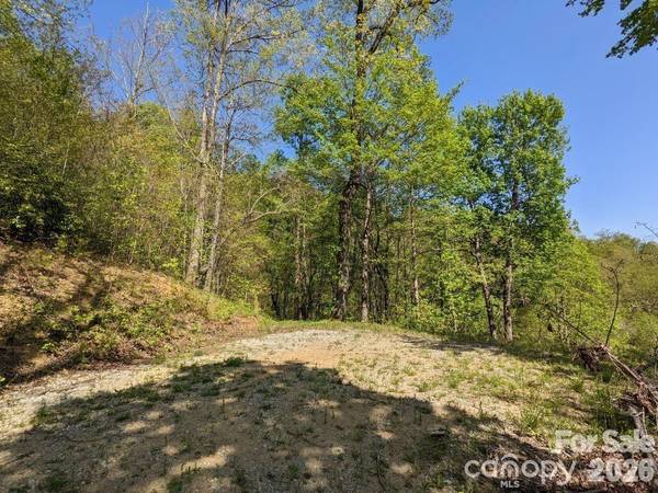 351 Kestrel LN #T-67, Black Mountain, NC 28711
