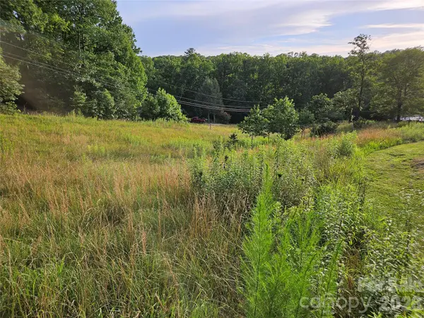 516 John Swofford RD, Nebo, NC 28761