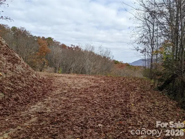 171 Nuthatch LN #C-30, Black Mountain, NC 28711