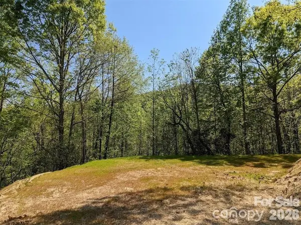 171 Nuthatch LN #C-30, Black Mountain, NC 28711