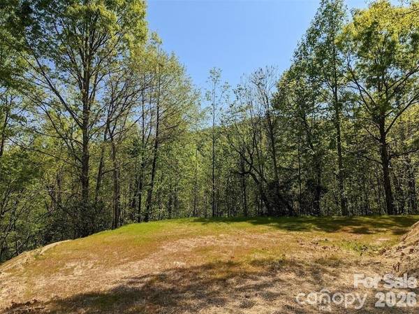 171 Nuthatch LN #C-30, Black Mountain, NC 28711