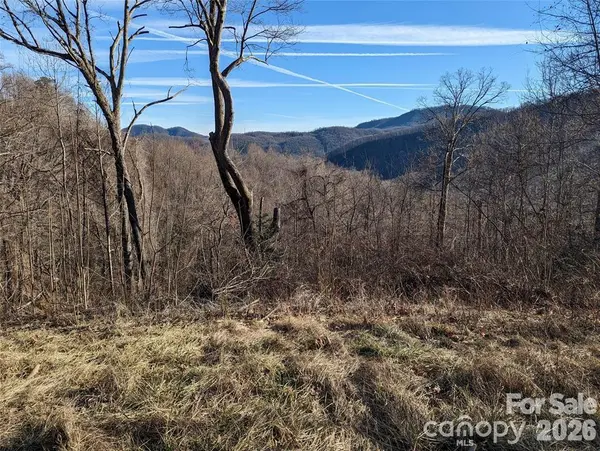 117 Ironwood LN #C-20, Black Mountain, NC 28711