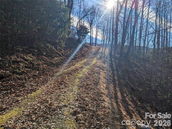 367 Kestrel LN #T-85, Black Mountain, NC 28711