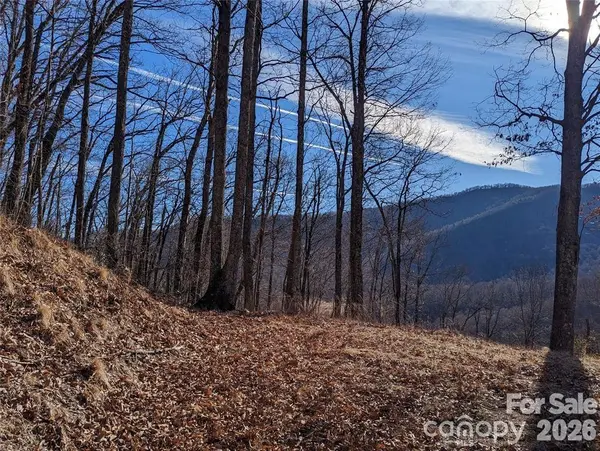 367 Kestrel LN #T-85, Black Mountain, NC 28711