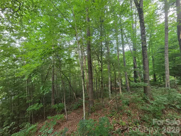 16 Courseview DR, Weaverville, NC 28787