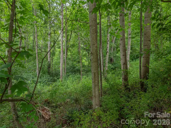 241 Clyde View HTS, Clyde, NC 28721