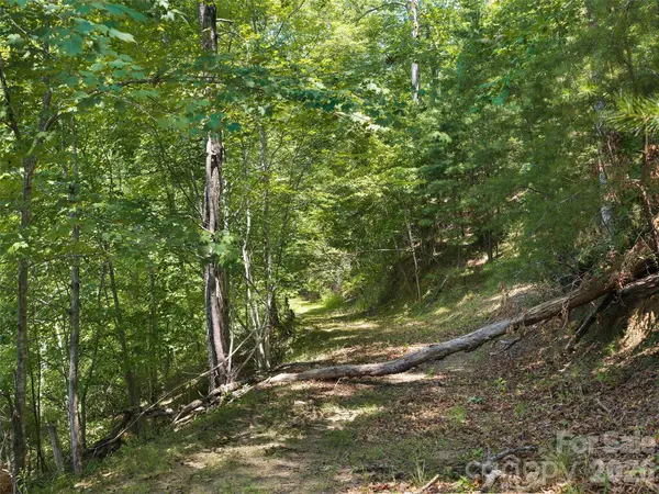 Lot 3 Loggers Pass LN, Mill Spring, NC 28756