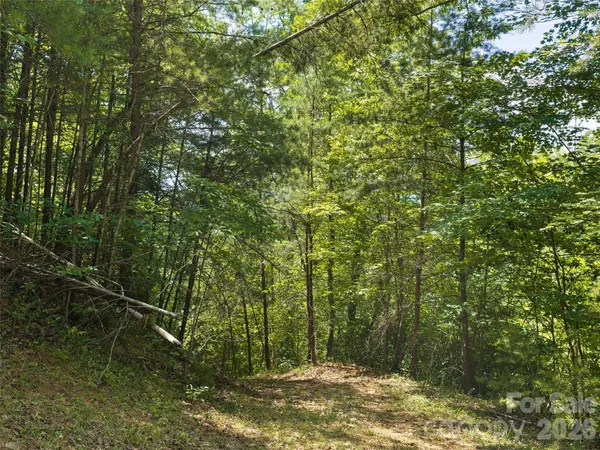 Lot 3 Loggers Pass LN, Mill Spring, NC 28756